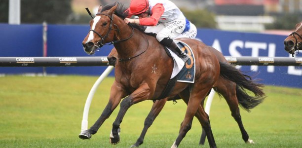 Affirmative Action to buypass Group 1 Proisir Plate