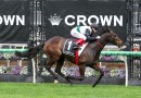 Mr Brightside to target G1 Makybe Diva Stakes
