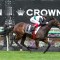 Mr Brightside to target G1 Makybe Diva Stakes