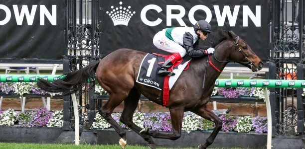 Mr Brightside to target G1 Makybe Diva Stakes