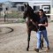 Quick Questions – Getting to know trainer Jack Laing