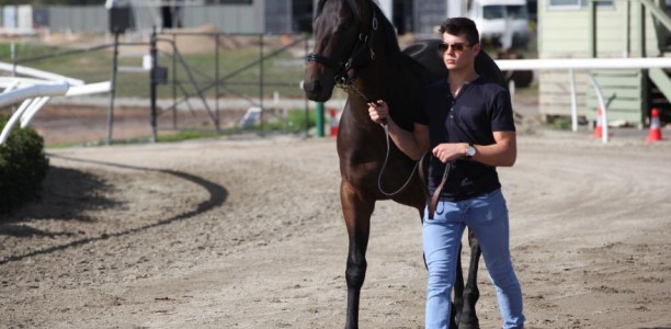 Quick Questions – Getting to know trainer Jack Laing