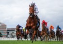 Natural Fling head odds in wide open Moir Stakes field