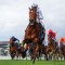 Natural Fling head odds in wide open Moir Stakes field