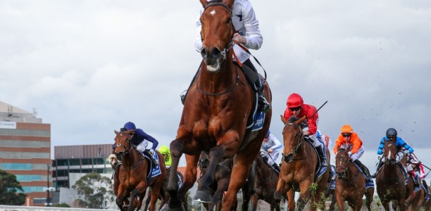 Natural Fling head odds in wide open Moir Stakes field