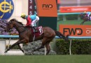 Ka Ying Rising monitored for minor hoof issue ahead of Everest tune-up