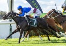 Bivouac’s sister Sequinned wins again
