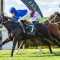 Bivouac’s sister Sequinned wins again