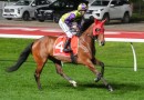 Geegees Mistruth chases first-up Group 1 glory
