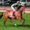 Geegees Mistruth chases first-up Group 1 glory