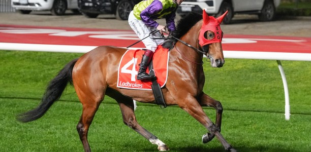 Geegees Mistruth chases first-up Group 1 glory