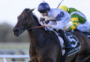 ‘TheBudgie’ out to maintain perfect distance record