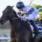 ‘TheBudgie’ out to maintain perfect distance record