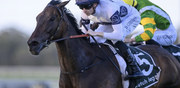 ‘TheBudgie’ out to maintain perfect distance record