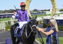 Matusalem short odds in small Wyong Cup field