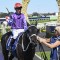 Matusalem short odds in small Wyong Cup field