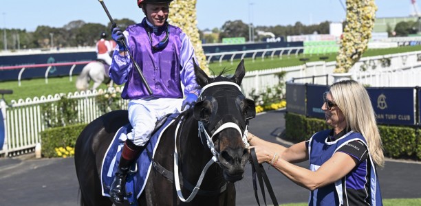 Matusalem short odds in small Wyong Cup field