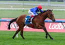 Cavalry Girl out to repeat history in Moir Stakes