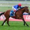 Cavalry Girl out to repeat history in Moir Stakes