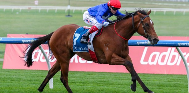 Cavalry Girl out to repeat history in Moir Stakes