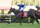 Tramway Stakes 2026 – Tips, Preview, Odds and $100 Betting Strategy