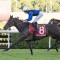 Tramway Stakes 2026 – Tips, Preview, Odds and $100 Betting Strategy