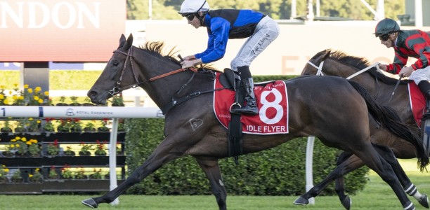 Tramway Stakes 2026 – Tips, Preview, Odds and $100 Betting Strategy