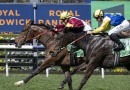 Lord Remlap stakes Kosciuszko claims in Highway
