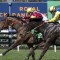 Lord Remlap stakes Kosciuszko claims in Highway
