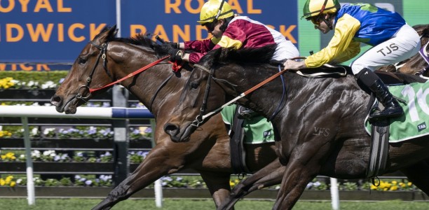 Lord Remlap stakes Kosciuszko claims in Highway