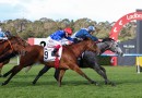 My Gladiola scores emotional Moir Stakes win