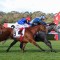 My Gladiola scores emotional Moir Stakes win