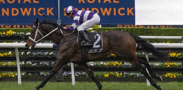 Lindermann back to his best in Chelmsford Stakes