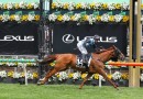 Melbourne Cup winner set for Makybe Diva Stakes return