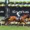 Melbourne Cup winner set for Makybe Diva Stakes return