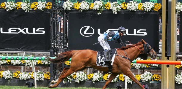 Melbourne Cup winner set for Makybe Diva Stakes return