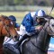 My Gladiola set for Royal Ascot campaign in 2027