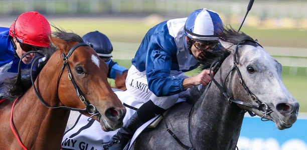 My Gladiola set for Royal Ascot campaign in 2027