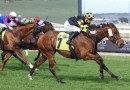 Spirit’s second shot at Chautauqua Stakes