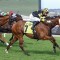 Spirit’s second shot at Chautauqua Stakes