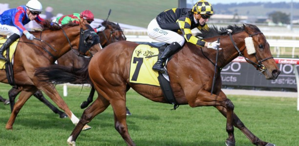 Spirit’s second shot at Chautauqua Stakes