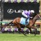 Potential for party of five for Waller