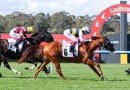 Melbourne Cup ballot exemption up for grabs