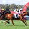 Melbourne Cup ballot exemption up for grabs