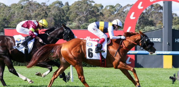 Melbourne Cup ballot exemption up for grabs