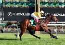 Makybe Diva Stakes 2026 – Tips, Field, Horse Previews, Odds and $100 Betting Strategy