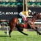 Makybe Diva Stakes 2026 – Tips, Field, Horse Previews, Odds and $100 Betting Strategy