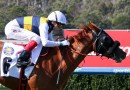 Nearcro Frod heads odds in wide open Archer Stakes field