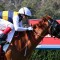 Nearcro Frod heads odds in wide open Archer Stakes field