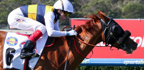 Nearcro Frod heads odds in wide open Archer Stakes field